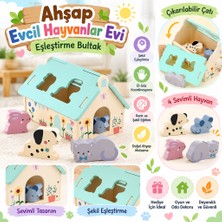 tp Ahşap Evcil Hayvanlar Evi Eşleştirme Bultak