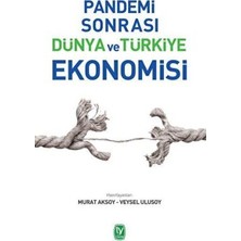 TeknoKapsül Pandemi Sonrası Dünya ve Türkiye Ekonomisi