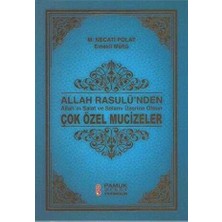TeknoKapsül Allah Rasulünden Çok Özel Mucizeler - PEYGAMBER-233