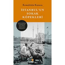 TeknoKapsül Istanbul`un Sokak Köpekleri