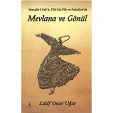 TeknoKapsül Mevlana ve Gönül