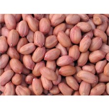 Xml Bayiciniz Tr Osmaniye Çiğ Fıstık Içi Duble, 1 kg