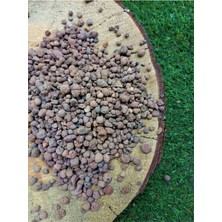 Xml Bayiciniz Tr Asenya Kil Bilyesi 10 Lt 3-8 mm Açık Kil Bilyesi Orkide Yetiştirme Ortamı Hidroponik Hidrokü