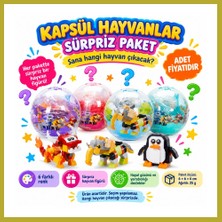Bezos 5244 Kapsül Hayvanlar Sürpriz Paket 24D (Adet Fiyatıdır) Bcks