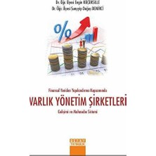 TeknoKapsül Finansal Yeniden Yapılandırma Kapsamında Varlık Yönetim Şirketleri Gelişimi ve Muhasebe Sistemi