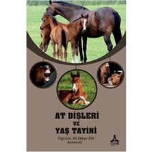 TeknoKapsül At Dişleri ve Yaş Tayini