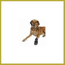 Bezos Neopren Köpek Patiği 2 Adet Siyah Xxxl Bcks
