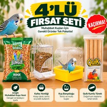 Muhabbet Kuşu 4'lü Set  Jungle Muhabbet Kuş Yemi - Kuş Yemliği - Kuş Banyoluğu- Quik Kumlu Tünek