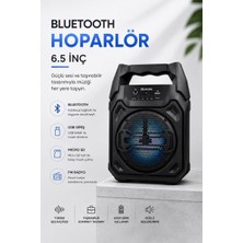 Royaleks Mikrofonlu Bluetooth Ses Sistemli Usb, Micro Sd, Fm ve Uzun Pil Ömrü