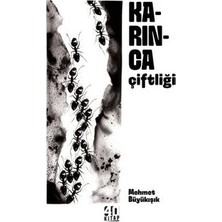 TeknoKapsül Karınca Çiftliği