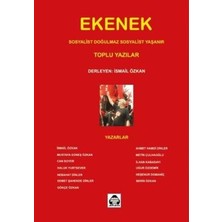 TeknoKapsül Ekenek-Toplu Yazılar