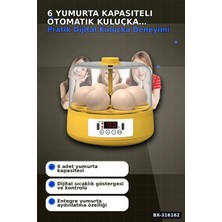 Eco Lounge Kuluçka Makinesi 6 Yumurta Kapasiteli Otomatik Çevirmeli Ev Tipi Elektrikli BX-316162