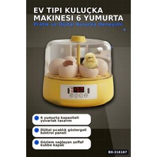 Eco Lounge Kuluçka Makinesi 6 Yumurta Kapasiteli Otomatik Döndürmeli Ev Tipi Mini BX-316167