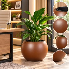 Pur Bella Büyük Dekoratif Saksı Kahverengi Küre Model Salon ve Ofis Iç Mekan Bitki Saksısı