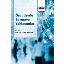TeknoKapsül Örgütlerde Sermaye Yaklaşımları