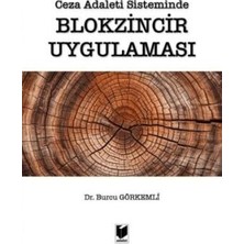 TeknoKapsül Ceza Adaleti Sisteminde Blokzincir Uygulaması