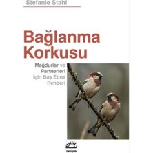 TeknoKapsül Bağlanma Korkusu