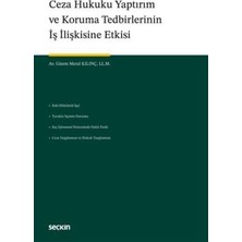 TeknoKapsül Ceza Hukuku Yaptırım ve Koruma Tedbirlerinin Iş Ilişkisine Etkisi