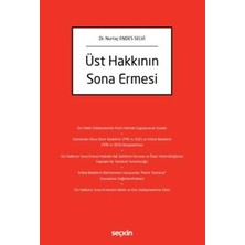 TeknoKapsül Üst Hakkının Sona Ermesi