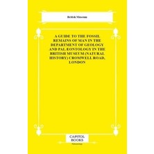 TeknoKapsül A Guide To The Fossil Remains Of Man In The Department Of Geology And Palæontology In The British Mu