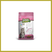 Bezos Yavru Kedi Maması Tavuklu 1,5 kg 1 Adet Bcks