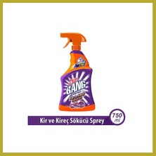 Bezos Sprey Kireç ve Kir 750ML 1 Adet Bcks