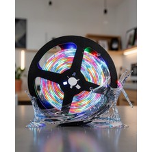 Timion 5 Metre Şerit LED Silikon Kaplı