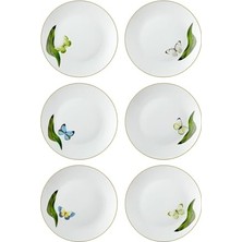 Folium Pasta Tabağı 6 Kişilik