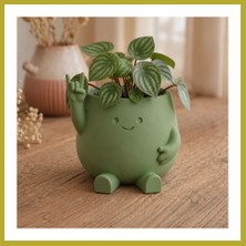 Bezos 3D Baskı Smiley Face Planter - Gülümseyen Karakterli Saksı-Yeşil Bcks