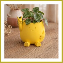 Bezos 3D Baskı Smiley Face Planter - Gülümseyen Karakterli Saksı-Sarı Bcks