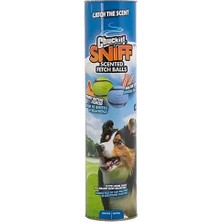 Hilera Chuckit! Sniff Fetch Kokulu Köpek Oyun Topu Orta Boy 4lü