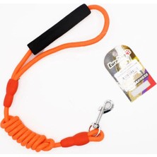 Hilera Eurodog Gezdirme Ipi Turuncu 120CM