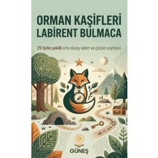 TeknoKapsül Orman Kaşifleri Labirent Bulmaca
