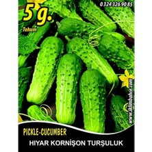 Hıyar Tohumu Salatalık Kornişon Turşuluk, 5 G (~ Takribi 100 Tohum)