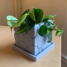 Talha3D Beton Görünümlü Dekoratif Plastik Saksı