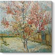 Vincent Van Gogh Pembe Şeftali Ağaçları Duvar Tablosu, 50 x 50