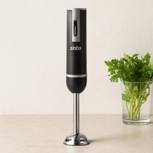 Techroid 300W Çubuk Blender - Çelik Uçlu, 2 Hızlı Ayrılabilir Gövde