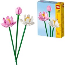 Lotus Çiçekleri Yapım Seti ile Bahçenizi Süsleyin