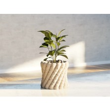 Talha3D Şişirilmiş Görünümlü Saksı