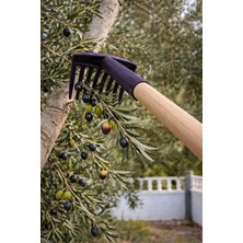 HKNOVA 1 Adet Zeytin Tırmığı Zeytin Toplama Aparatı Esnek Kaliteli Kırılmaz Zeytin Toplama Tırmığı (5 Adet)