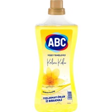 MUJGAN Abc Deterjan Yüzey Temizleyici Akdeniz Ferahlığı 2,5 L