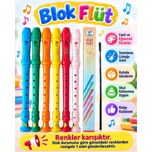 The Monarch Co Renkli Blok Flüt Temizleme Çubuklu Okul Öğrenci Flütü Kutulu (Karışık Renk)