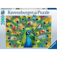 MUJGAN Ravensburger 2000 Parça Tavus Kuşu Puzzle