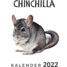 MUJGAN Chinchilla: Kalender 2022 (German Edition)