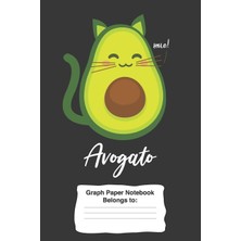 MUJGAN Avogato Graph Paper Notebook: 6 x 9 Quad Rule Graph Paper 4x4 Four Squares Per Inch 120 Pages