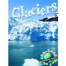 MUJGAN Glaciers