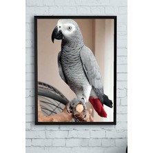 MUJGAN Postermanya (PSTER12933) Papağan Hayvan Çerçeveli Tablo 2 (40X50CM)
