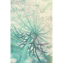 MUJGAN Queen Anne's Lace - Lined Notebook With Margins: 101 Pages, Medium Ruled, 6 x 9 Journal, Soft Cover