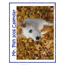 MUJGAN Mr. Pish 2016 Calendar