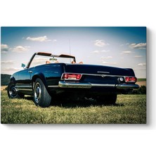 MUJGAN Mercedes Benz W113 Tablosu 60 x 40